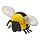 Select colour variation: bumble bee/black yellow