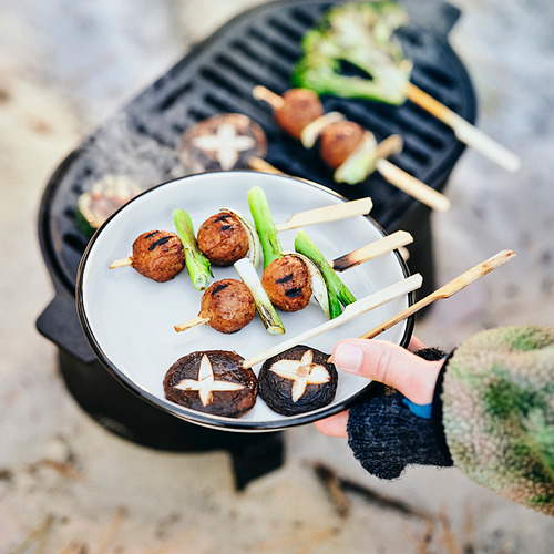 SOLUPPGÅNG, plate. 3 of 4 open dialog