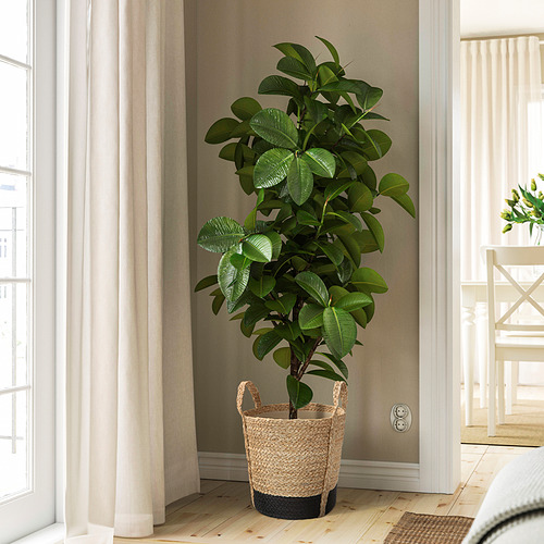 TÄRNMÅS, plant pot. 3 of 6 open dialog