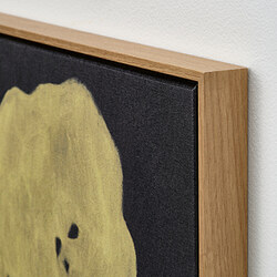 BLODFLÄDER picture