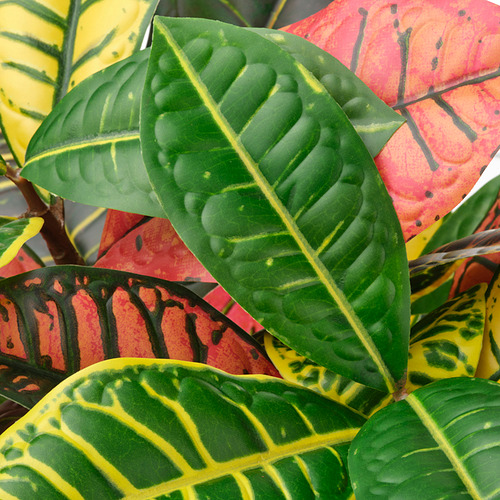 FEJKA, artificial potted plant. 4 of 4 open dialog