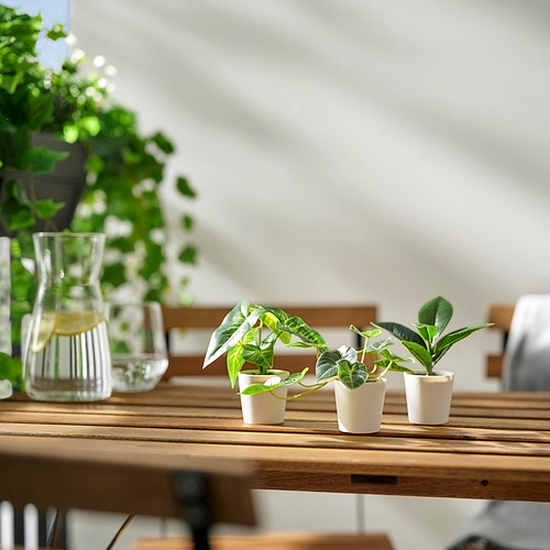 FEJKA, planta artificial maceta, juego 3. 3 de 4 abrir diálogo
