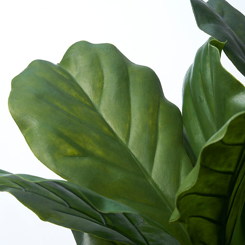 Primer plano de hojas verdes realistas, probablemente artificiales, que muestran una textura detallada y un color vibrante.