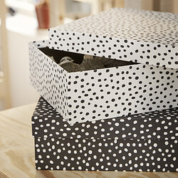 RÄTTAREN storage box with lid, set of 2