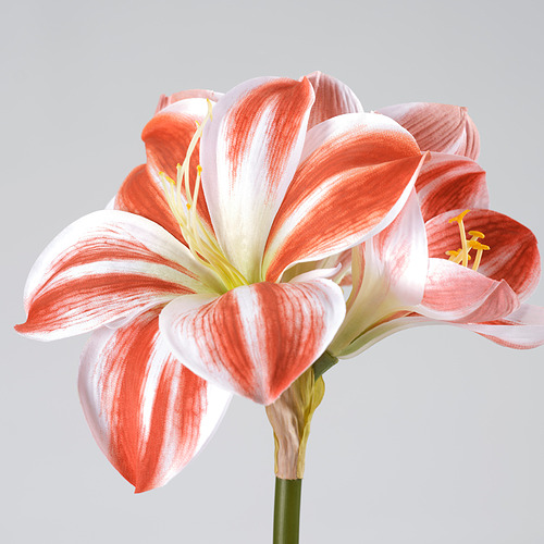 VINTERFINT, artificial flower. 6 of 6 open dialog