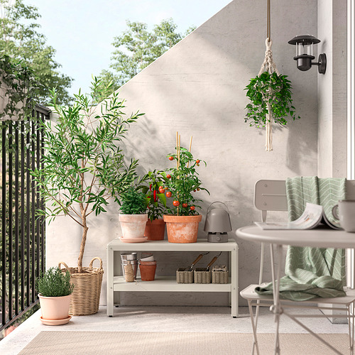 DJURTRÄNARE, canasta. 3 de 6 open dialog