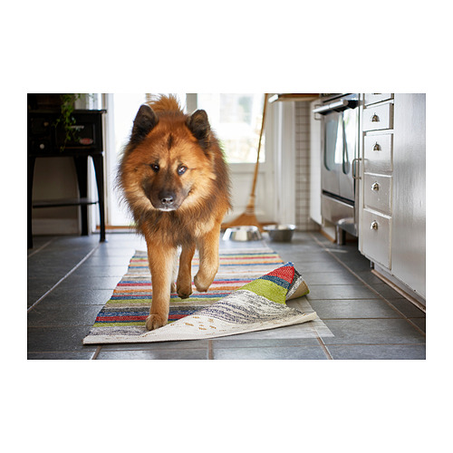 Perro esponjoso en alfombra de rayas coloridas cerca de la cocina.