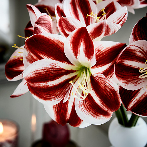 VINTERFINT, artificial flower. 5 of 6 open dialog