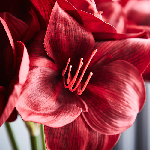 VINTERFINT, artificial flower. 3 of 4 open dialog