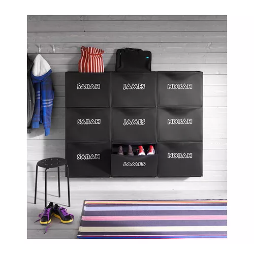 IKEA Mayagüez - TRONES shoe/storage cabinet, black, 20 1/2 