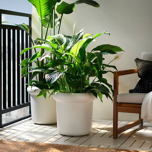 MÅBÄRSBUSKE, plant pot. 2 of 5 open dialog