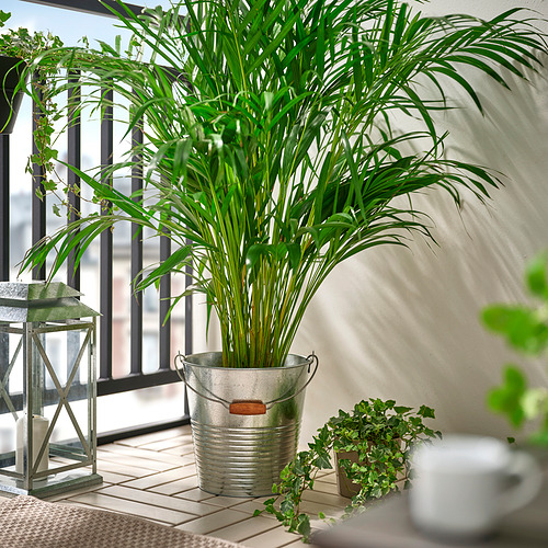 KORKGRAN, cubo/maceta. 2 de 3 open dialog