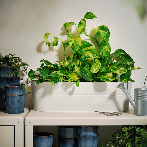 VITLÖK, flower box with holder. 3 of 3 open dialog