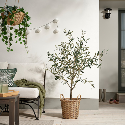 FLODBJÖRK, maceta. 2 de 6 open dialog