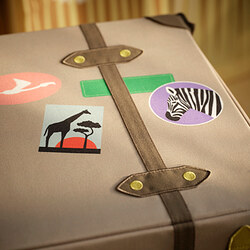 SANDLÖPARE storage trunk