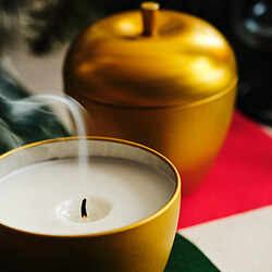 VINTERFINT scented candle in metal cup