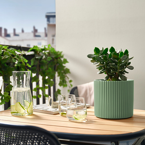 Mesa de patio con planta, cal, vasos, vista a la ciudad.