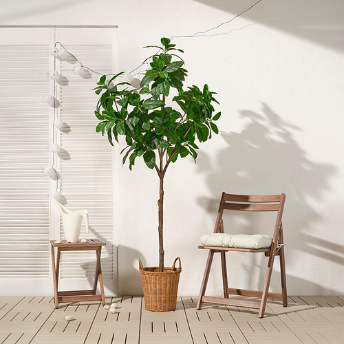 Acogedor rincón con planta en maceta, silla de madera y mesa a la luz del sol.