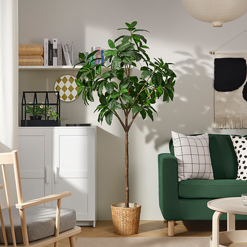 Espacio moderno y natural con un elegante sofá verde y una planta en maceta FEJKA, que combina la comodidad y la naturaleza del plástico reciclado.