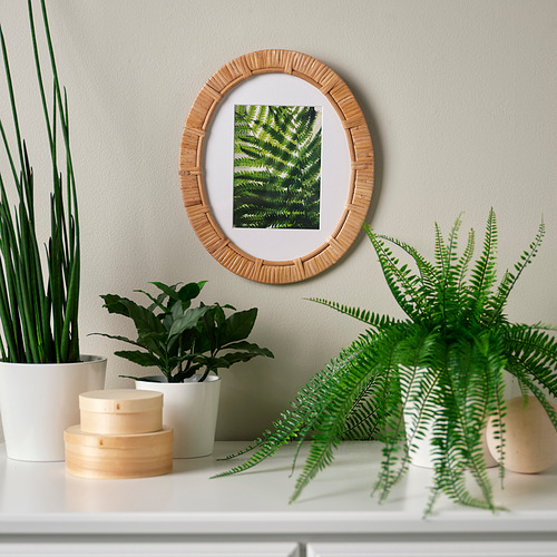 TRIVIALSKOG, marco. 2 de 4 open dialog