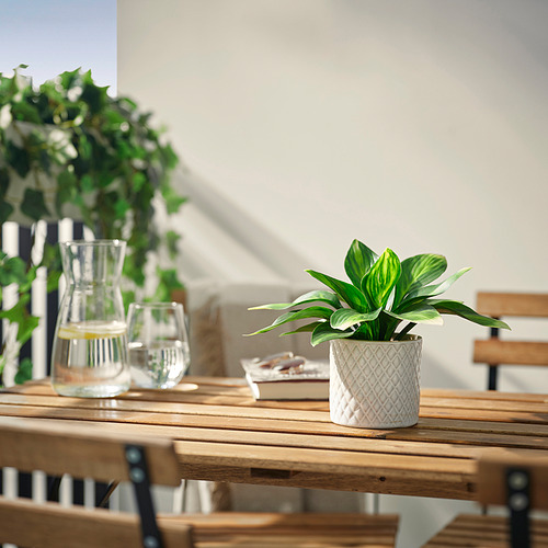 FEJKA, planta artificial en maceta. 2 de 3 open dialog