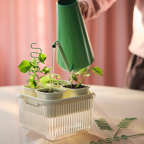 Imagina un mini invernadero con plantas pequeñas, una regadera verde y una domo protectora que ayuda a que las semillas germinen y prosperen.