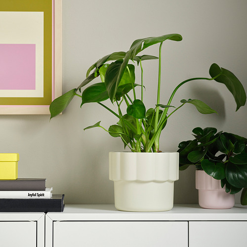 HÄNGSÄLG, maceta. 2 de 5 open dialog