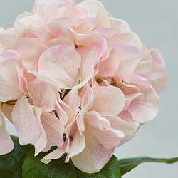 SMYCKA flor artificial