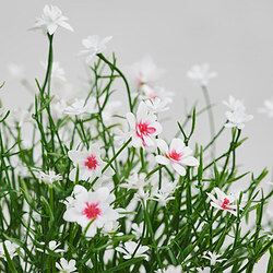 FEJKA planta artificial en maceta