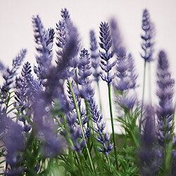 FEJKA planta artificial en maceta