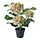 Current variation: indoor/outdoor/hydrangea white, 4 ¾ "