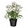 Select colour variation: indoor/outdoor/cosmos white