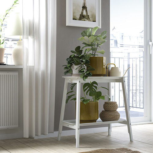 Pie de plantas blancas cerca de la ventana con elementos decorativos y vegetación.