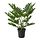 Select colour variation: Winterbourn