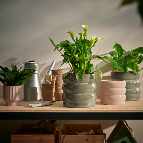 HASSELBUKETT, plant pot 2 of 5 open dialog
