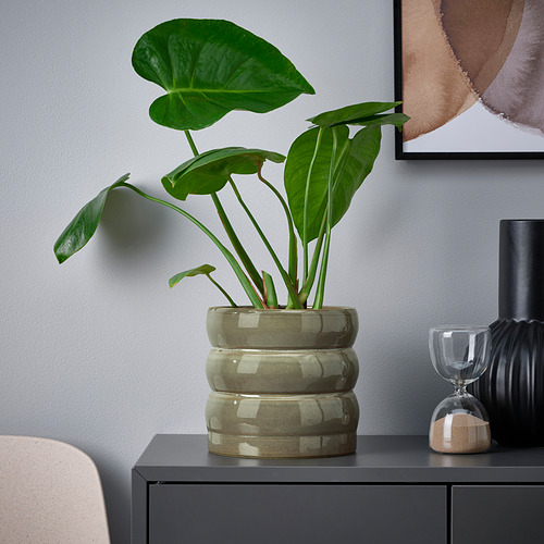 HASSELBUKETT, plant pot 3 of 5 open dialog