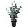 Select colour variation: Eucalyptus