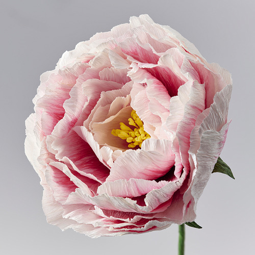 GULDSPETT, flor artificial. 4 de 4 open dialog