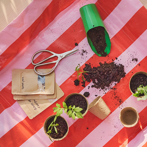 BRYTBÖNA, scissors. 2 of 3 open dialog