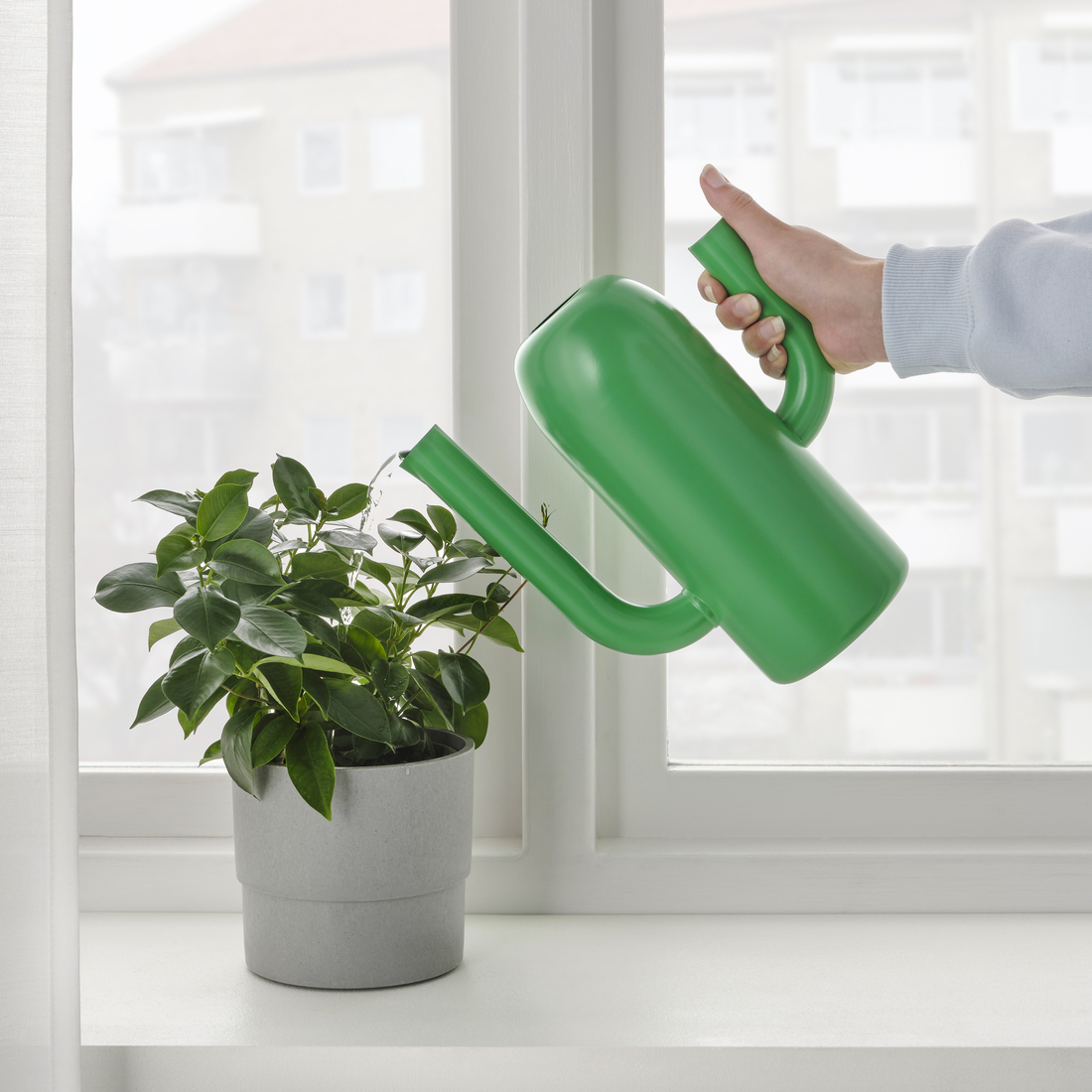 ÄRTBUSKE, florero/regadera. 4 de 6 open dialog