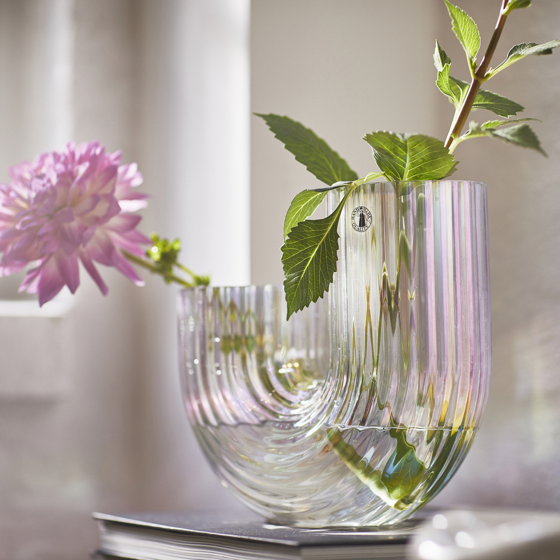 RÄFFELBJÖRK, florero. 3 de 5 open dialog