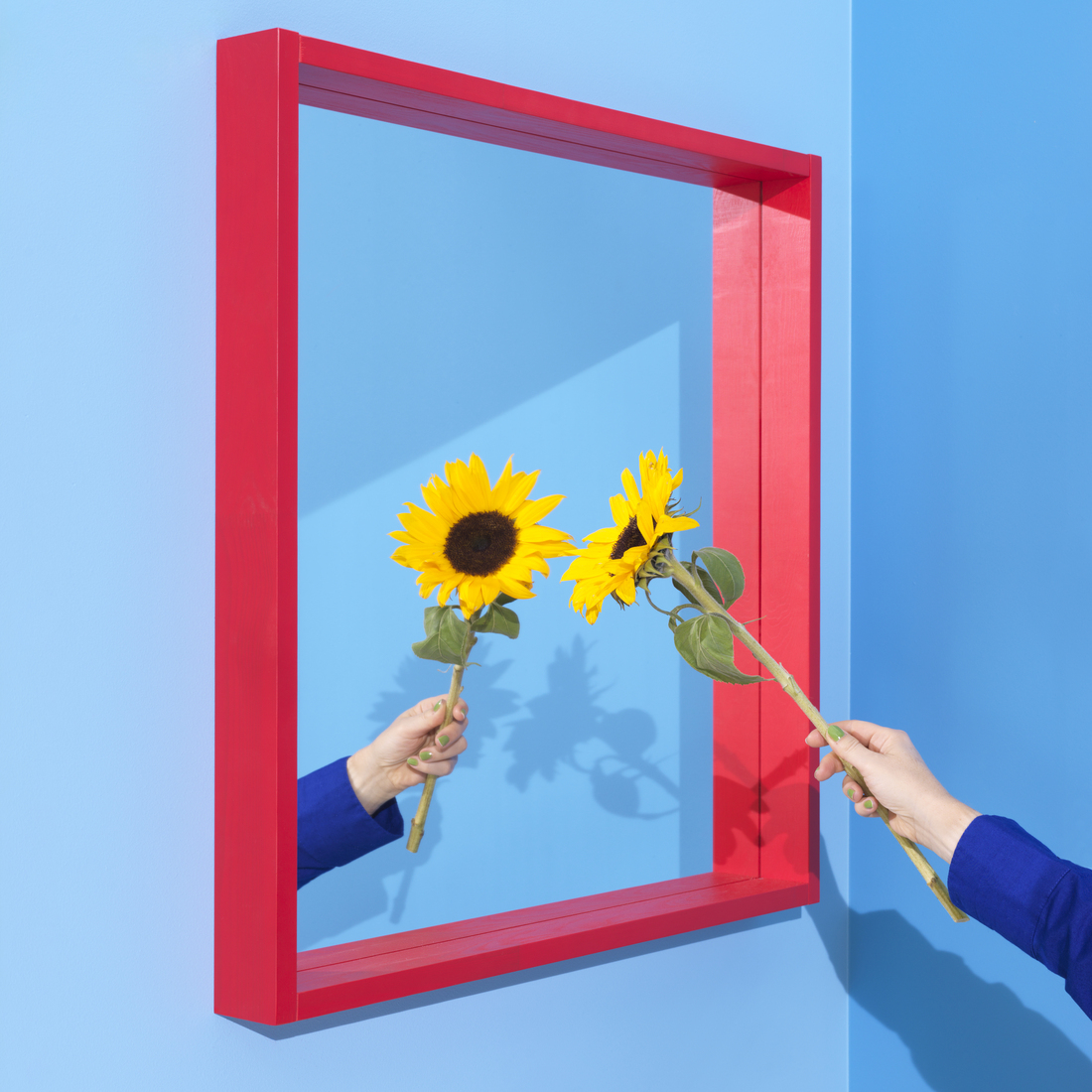 TURBOKASTANJ, mirror. 2 of 5 open dialog