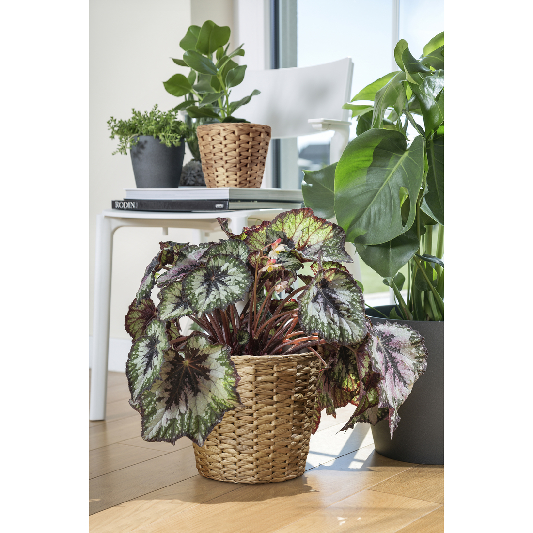 FRIDFULL, plant pot. 2 of 3 open dialog