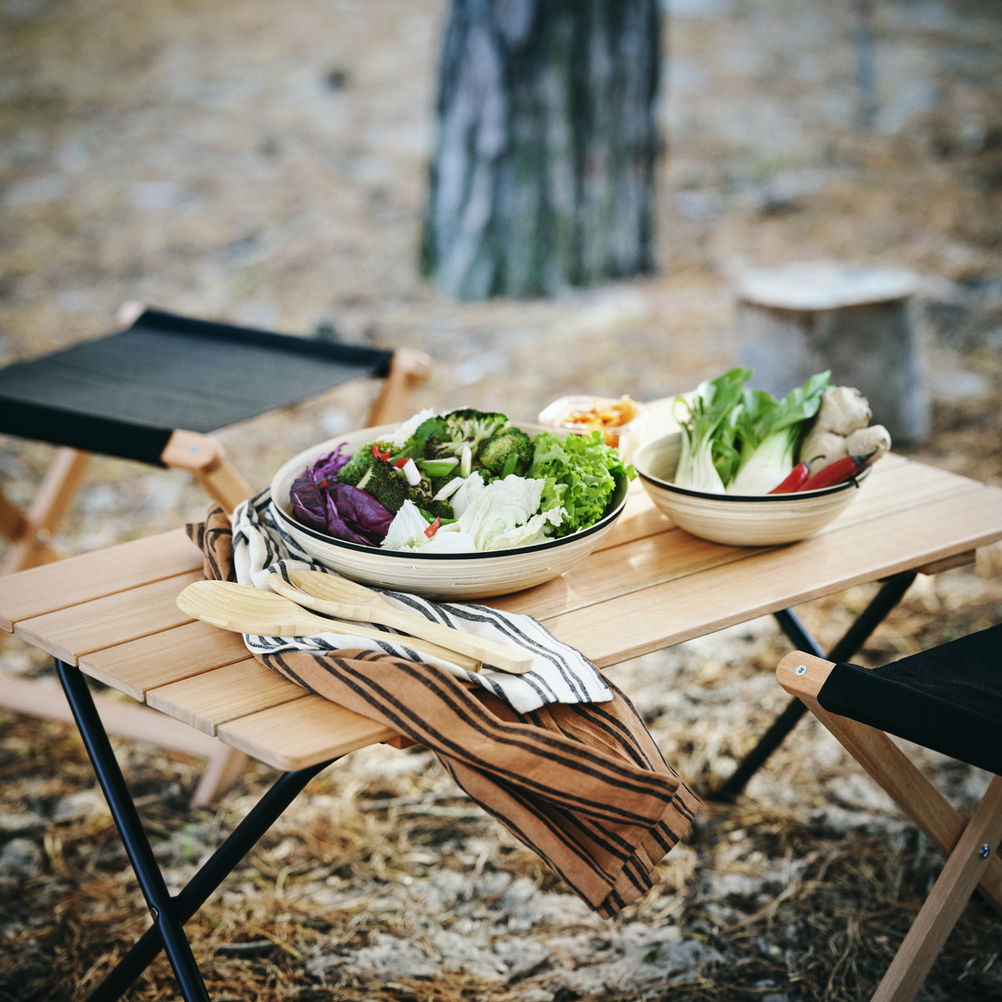 SOLUPPGÅNG, folding table. 5 of 8 open dialog