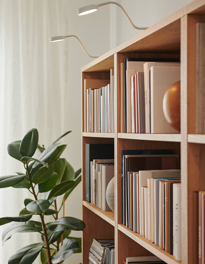 Estantería de madera con libros y objetos decorativos, iluminada por lámparas LED flexibles, junto a una planta de interior en un espacio con luz natural.