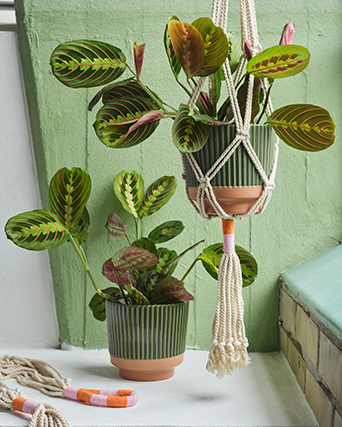Two MÄVINN plant pots in green with green plants. One stands on a white ledge while the other hangs from the ceiling.