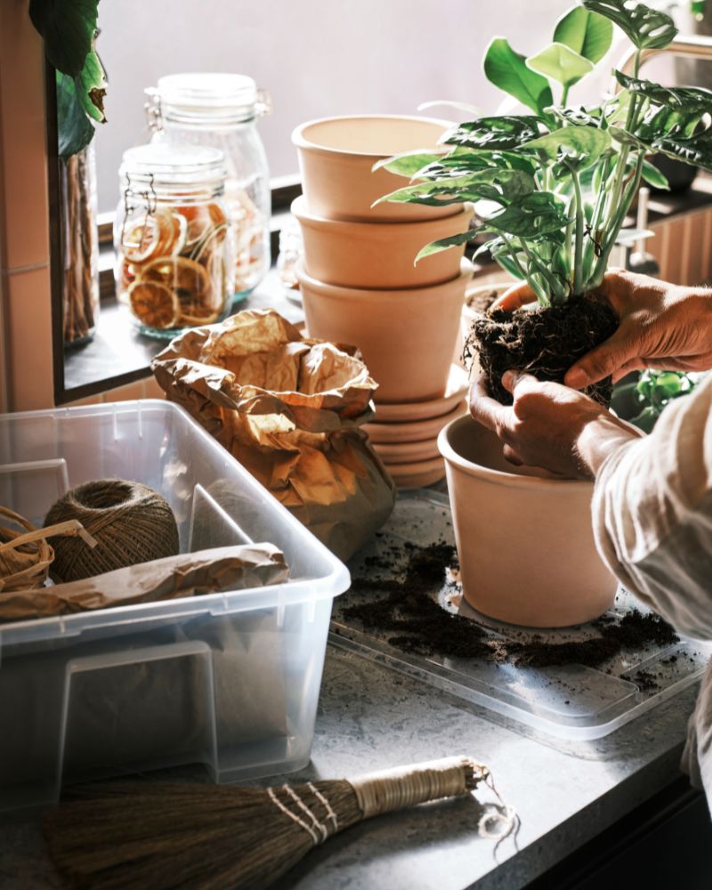 Garden, natural and active with MUSKOTBLOMMA pot, SAMLA box and various KORKEN jars.
