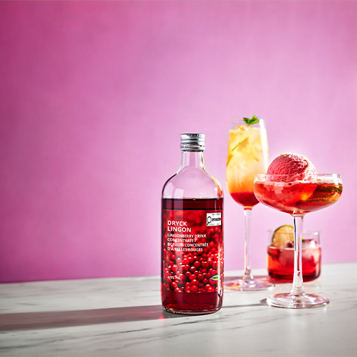 Bottle of lingonberry concentrate with red cocktails in elegant glasses against a pink background.