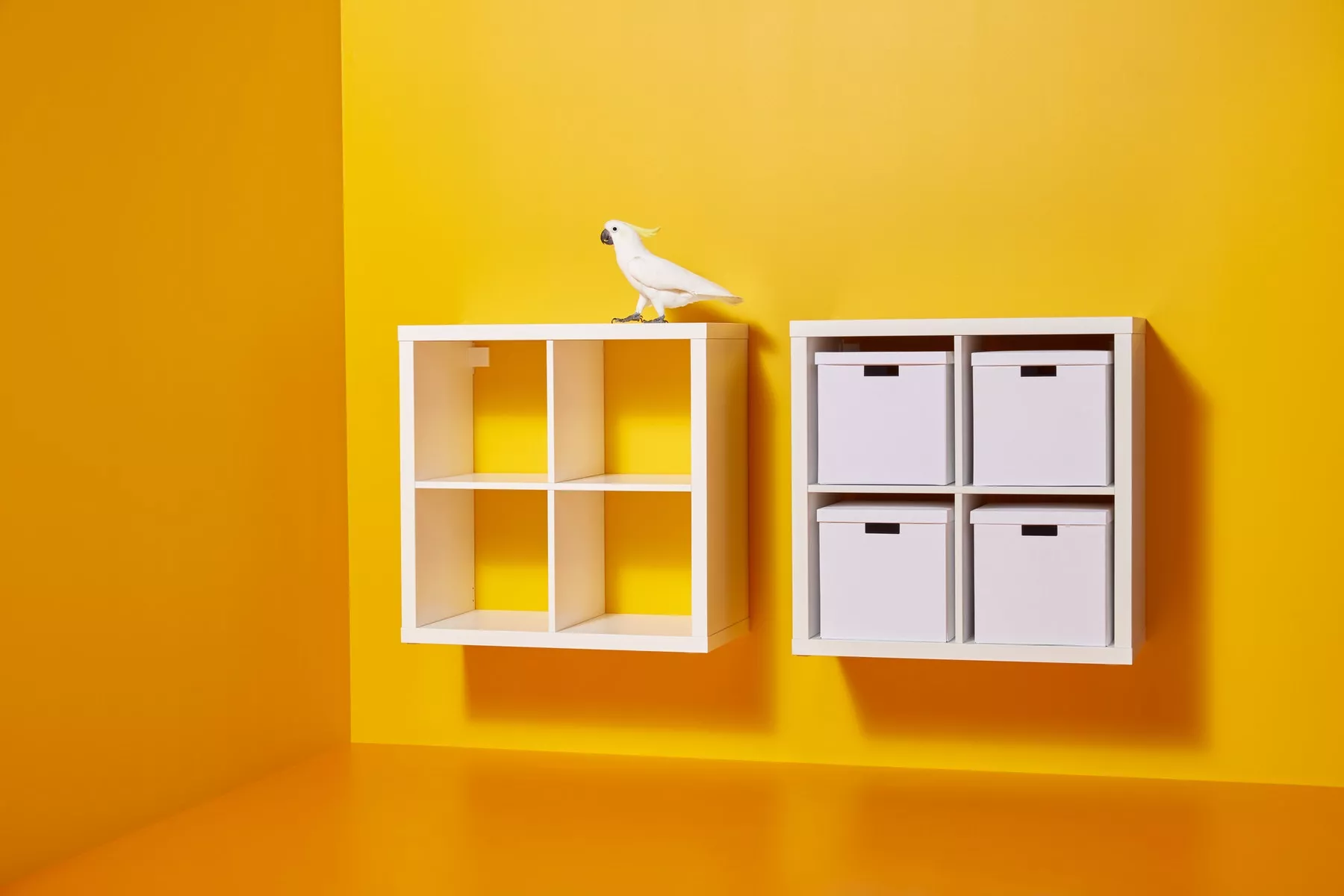 IKEA Puerto Rico - KALLAX base on legs, white, 146x39x18 cm | 57 1